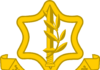 The Israel Defense Forces (IDF) Have Dismantled Hamas’s Abilities In Northern Gaza.