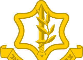 The Israel Defense Forces (IDF) Have Dismantled Hamas’s Abilities In Northern Gaza.