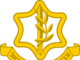 The Israel Defense Forces (IDF) Have Dismantled Hamas’s Abilities In Northern Gaza.