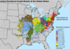 Billions Of Cicadas Set For Rare Dual Emergence Across The US In 2024