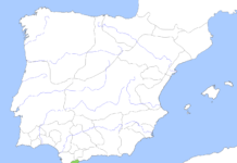 Massive Cocaine Haul Intercepted At Algeciras Port In Sophisticated Smuggling Bid