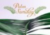 Palm Sunday and the Beginning of Holy Week: A Time of Reflection and Tradition