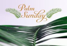 Palm Sunday and the Beginning of Holy Week: A Time of Reflection and Tradition