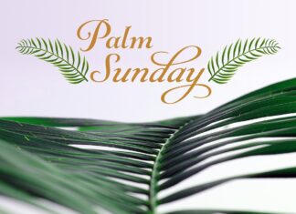 Palm Sunday and the Beginning of Holy Week: A Time of Reflection and Tradition