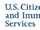 USCIS Reports Sharp Decline in H-1B Visa Lottery Applications Following New Rules