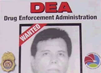 US Captures Key Sinaloa Cartel Figures in Texas Arrest Operation