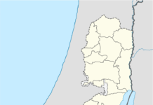 Protests Erupt in Israel After Six Hostages Found Dead in Gaza