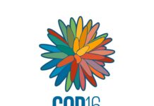 Global Coalition for ‘Peace with Nature’ Emerges at COP16 as Biodiversity Crisis Deepens