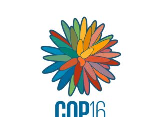 Global Coalition for ‘Peace with Nature’ Emerges at COP16 as Biodiversity Crisis Deepens