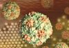 Pakistan Launches Nationwide Polio Vaccination Drive Amid Rising Cases and Security Challenges
