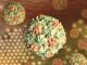 Pakistan Launches Nationwide Polio Vaccination Drive Amid Rising Cases and Security Challenges