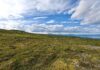 Arctic Tundra Turns Carbon Emitter Amid Rising Temperatures and Wildfires