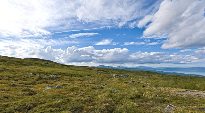 Arctic Tundra Turns Carbon Emitter Amid Rising Temperatures and Wildfires