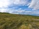 Arctic Tundra Turns Carbon Emitter Amid Rising Temperatures and Wildfires