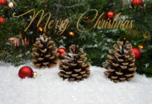Merry Christmas