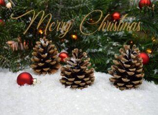 Merry Christmas