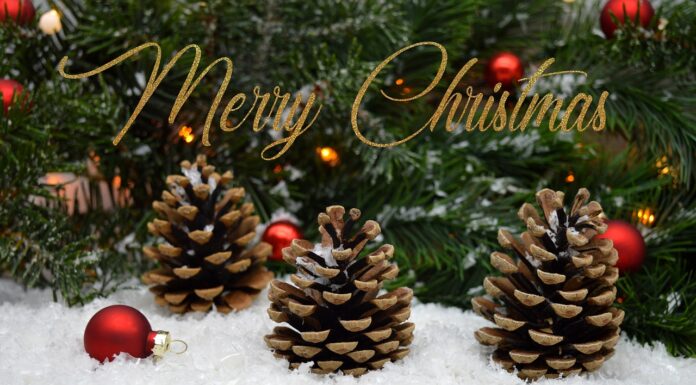 Merry Christmas