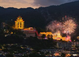 Lunar New Year 2025 Begins as the Year of the Snake Brings Renewal and Transformation