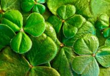 Happy St. Patrick’s Day