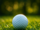 Rory McIlroy Wins 2025 Masters in Playoff, Completes Career Grand Slam