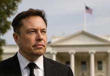 DOGE Leader Departs as Musk Shifts Focus Back to Private Sector