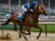 Sovereignty Ignites Triple Crown Hopes with 2025 Kentucky Derby Win