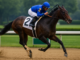 Sovereignty Edges Journalism to Win 2025 Belmont Stakes at Saratoga