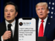 Musk Apologizes to Trump After Online Feud