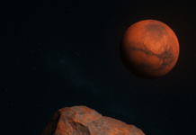 Martian Meteorite Sells for $5.3 Million at Sotheby’s Auction