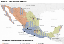 Trump Orders Pentagon to Draft Military Plans Targeting Drug Cartels