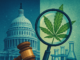 From Schedule I to III? Trump Signals Possible Change in Cannabis Rules