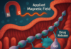 Microrobots Offer New Path for Targeted Drug Delivery and Surgical Precision