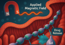 Microrobots Offer New Path for Targeted Drug Delivery and Surgical Precision