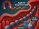 Microrobots Offer New Path for Targeted Drug Delivery and Surgical Precision