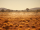 October Heatwaves Grip Australia and U.S. Midwest as Temperatures Shatter Seasonal Norms