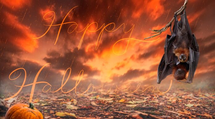 Happy Halloween!