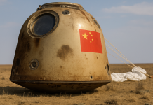China’s Space Mice Return: New Clues on How Life Adapts Beyond Earth