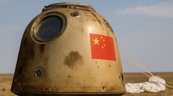 China’s Space Mice Return: New Clues on How Life Adapts Beyond Earth