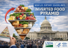 What’s Changed in the New U.S. Food Pyramid and Why It Looks So Different