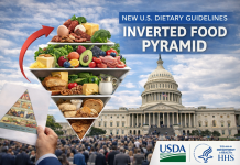 What’s Changed in the New U.S. Food Pyramid and Why It Looks So Different