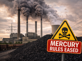 EPA Rolls Back Mercury and Heavy Metal Emission Standards for Power Plants