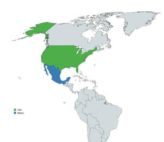 Mexico Faces Nationwide Unrest After Security Forces Kill Jalisco Cartel Leader El Mencho