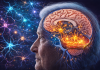 Study Finds ‘SuperAgers’ Grow More New Brain Cells Than Younger Adults