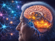 Study Finds ‘SuperAgers’ Grow More New Brain Cells Than Younger Adults