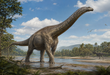 Scientists Identify 90-Foot Dinosaur as Largest Ever Found in Southeast Asia