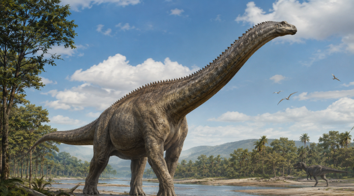 Scientists Identify 90-Foot Dinosaur as Largest Ever Found in Southeast Asia