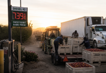 Higher Diesel Prices Add Pressure for California Growers
