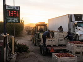 Higher Diesel Prices Add Pressure for California Growers