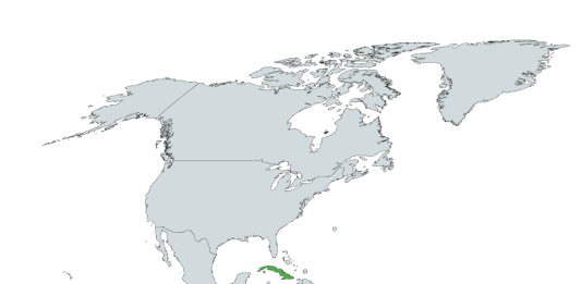 Cuba Faces Another Nationwide Blackout After Power Grid Fails