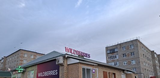Wildberries, Russia’s Largest Online Marketplace, Plays a Major Role in E-Commerce